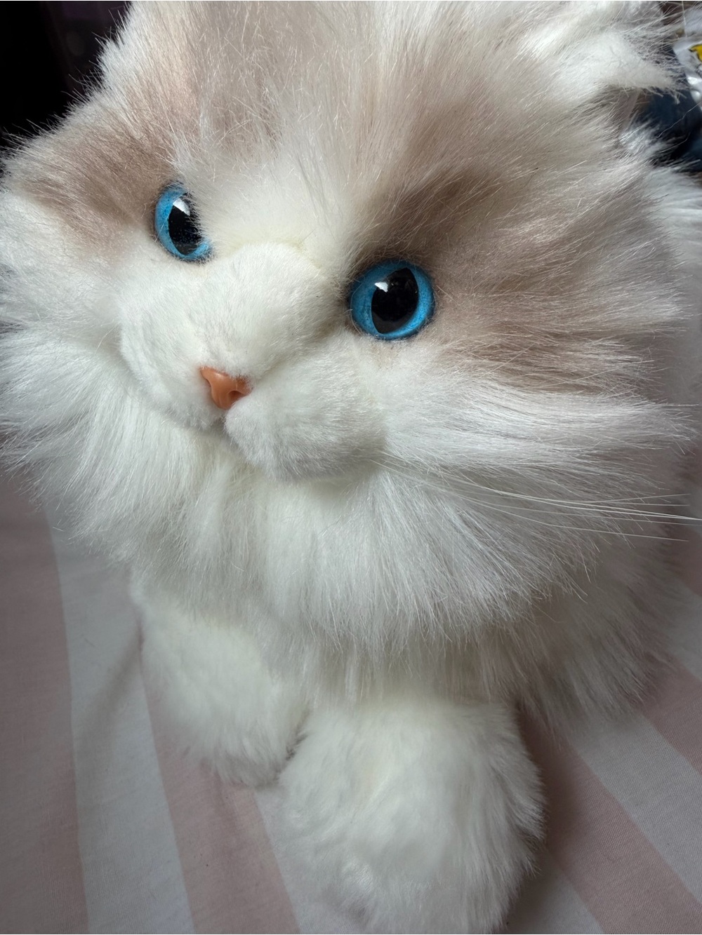 Realistic Plush White Cat Toy with Blue Eyes - Soft Pet Plush